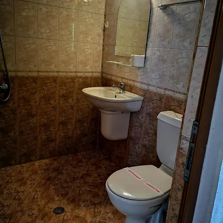 Guest house Paunovi 2*