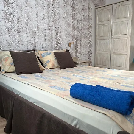 Guest house Paunovi 2*