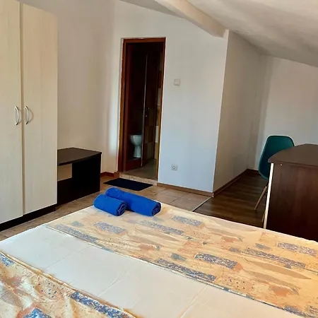 Guest house Paunovi 2*