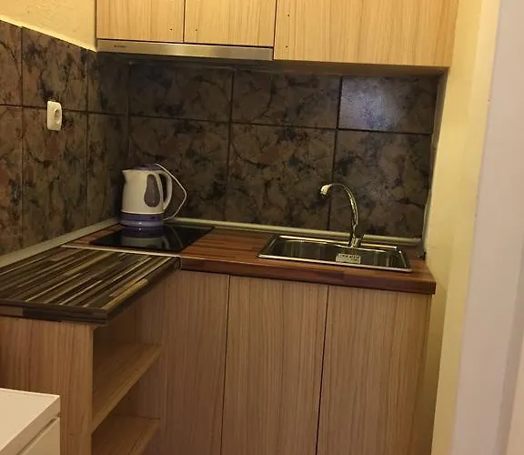 Πανσιόν Paunovi